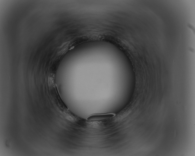 X0000093090432200710171142