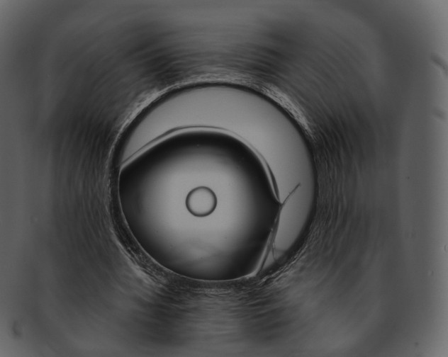X0000093090436200710171141