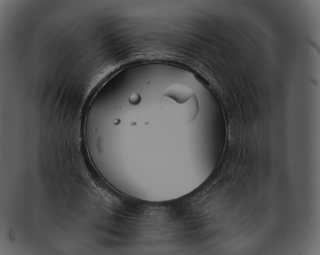X0000093090438200710171141