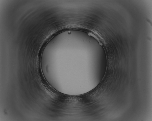 X0000093090439200710171141