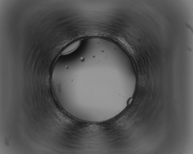X0000093090441200710171141