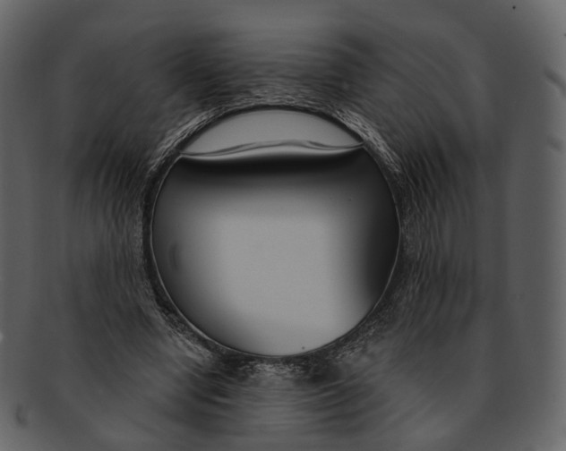 X0000093090442200710171141