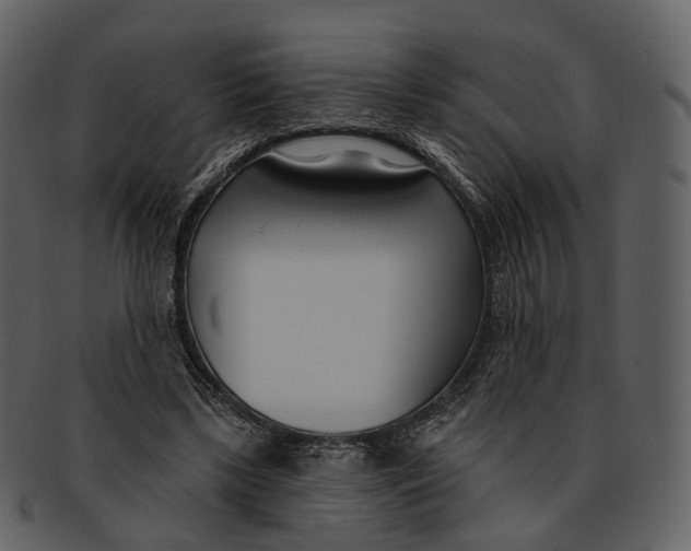 X0000093090443200710171141