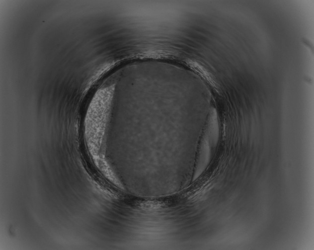 X0000093090444200710171141