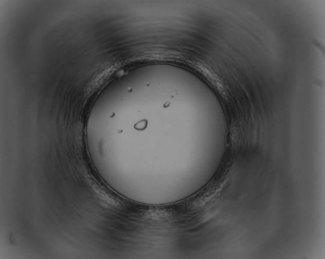 X0000093090445200710171141