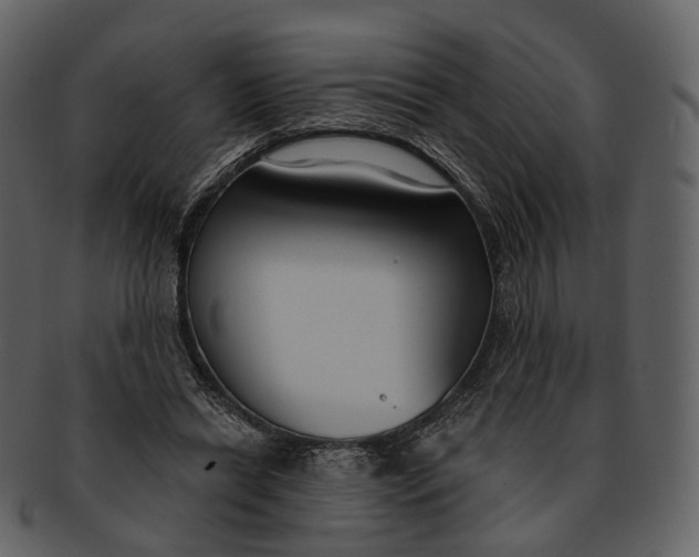 X0000093090446200710171141