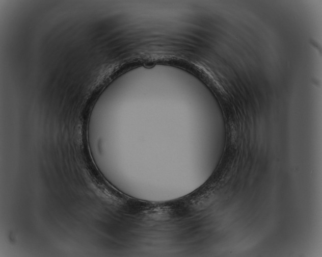 X0000093090447200710171141