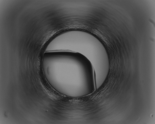 X0000093090448200710171142
