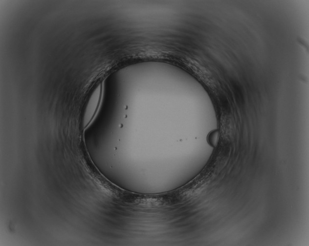 X0000093090449200710171142