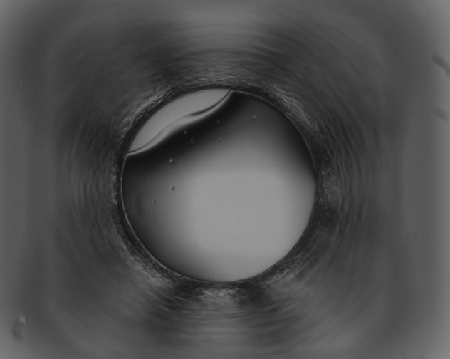 X0000093090450200710171142