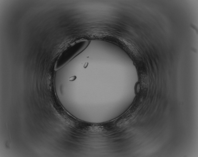 X0000093090451200710171142