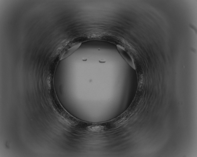 X0000093090452200710171142