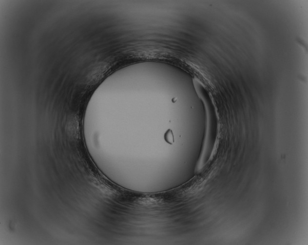 X0000093090453200710171142