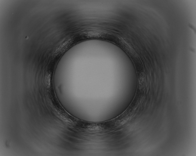 X0000093090454200710171142