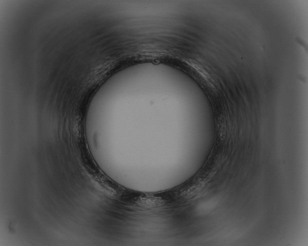 X0000093090455200710171142