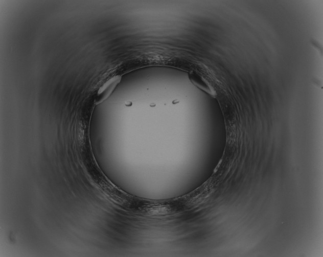 X0000093090456200710171142