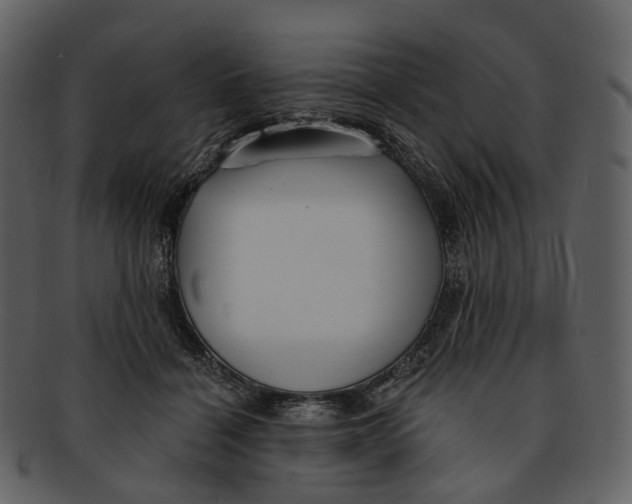 X0000093090460200710171142