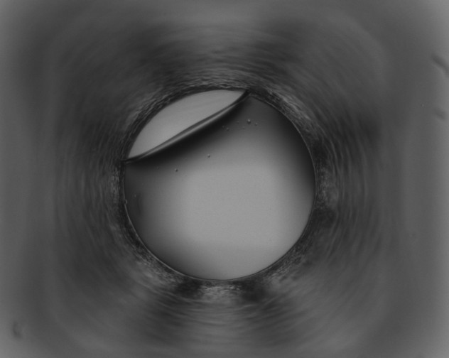 X0000093090461200710171142