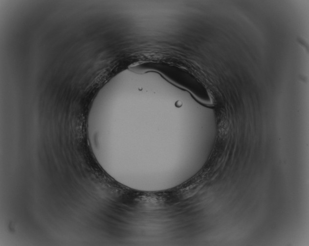 X0000093090464200710171142