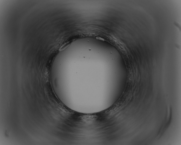 X0000093090465200710171142
