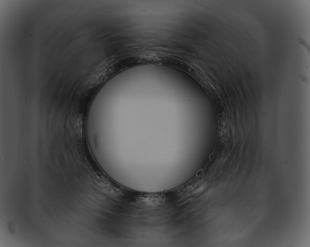 X0000093090466200710171142