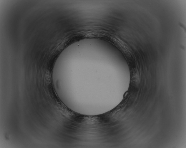 X0000093090469200710171142