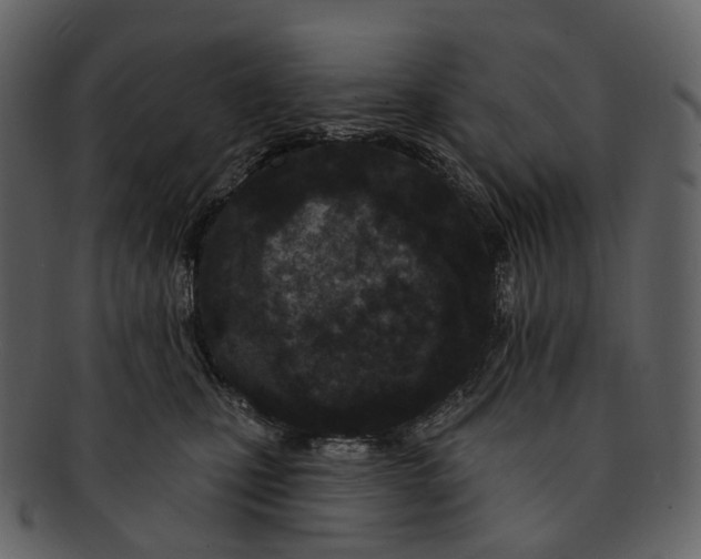 X0000093090471200710171142