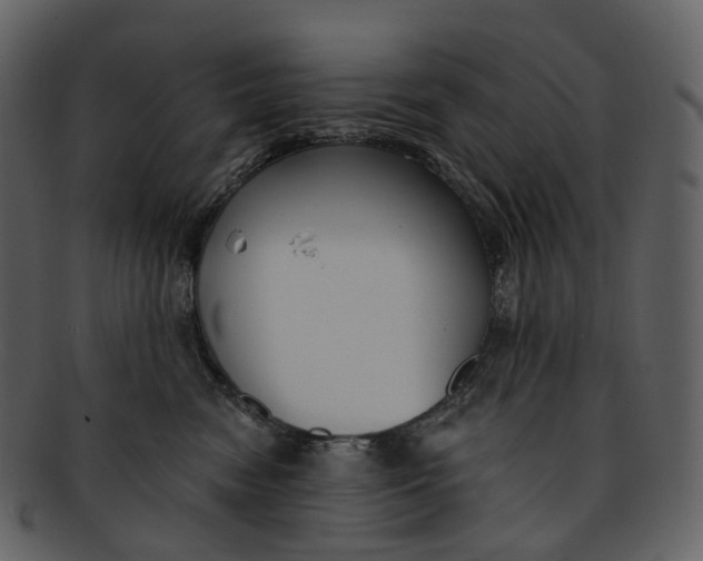 X0000093090474200710171142