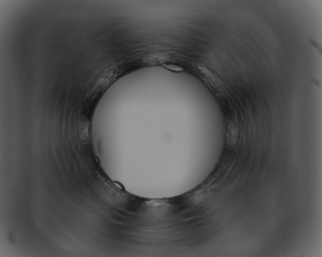 X0000093090477200710171142