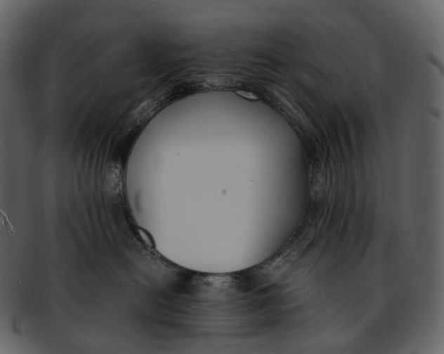 X0000093090478200710171142