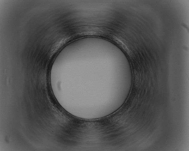 X0000093090482200710171141