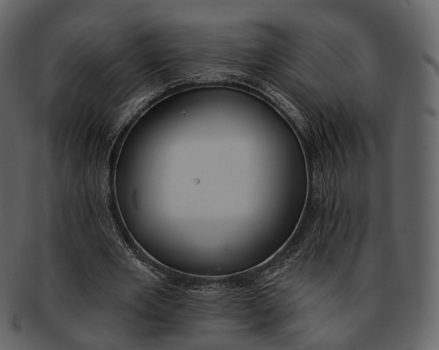 X0000093090485200710171141