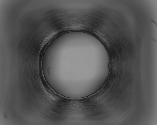 X0000093090486200710171141