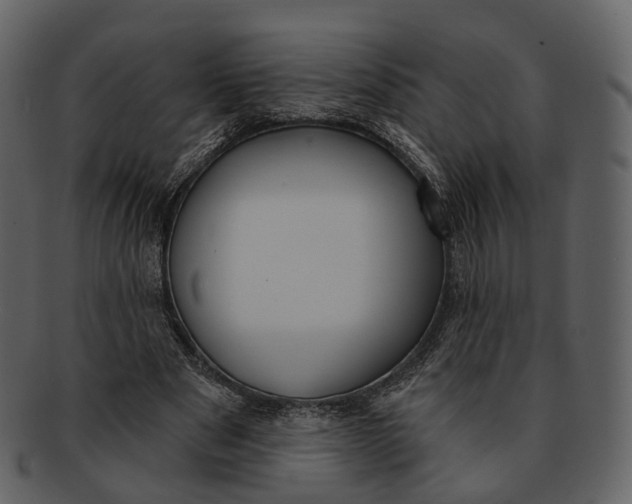 X0000093090489200710171141