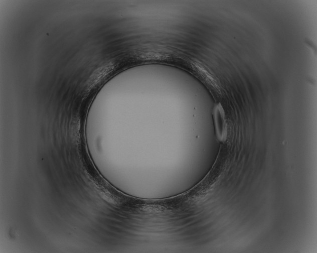 X0000093090490200710171141