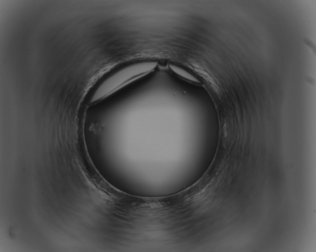 X0000093090492200710171141