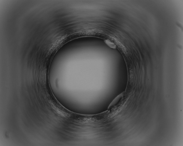 X0000093090493200710171141