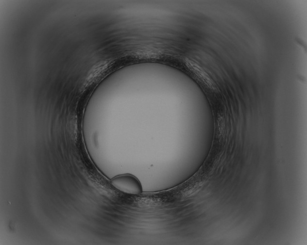 X0000093090494200710171141