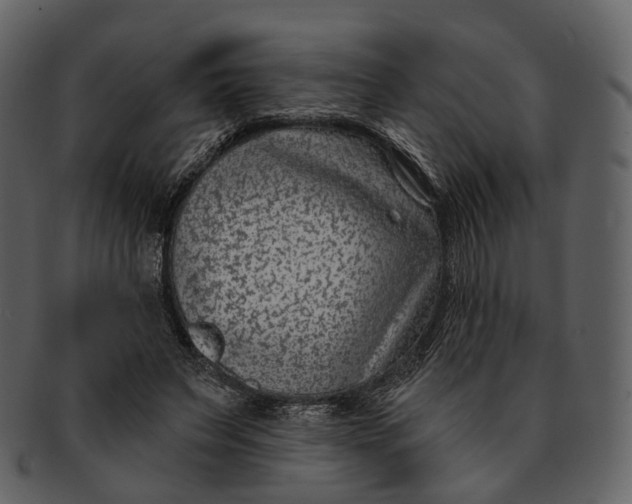 X0000093090495200710171141