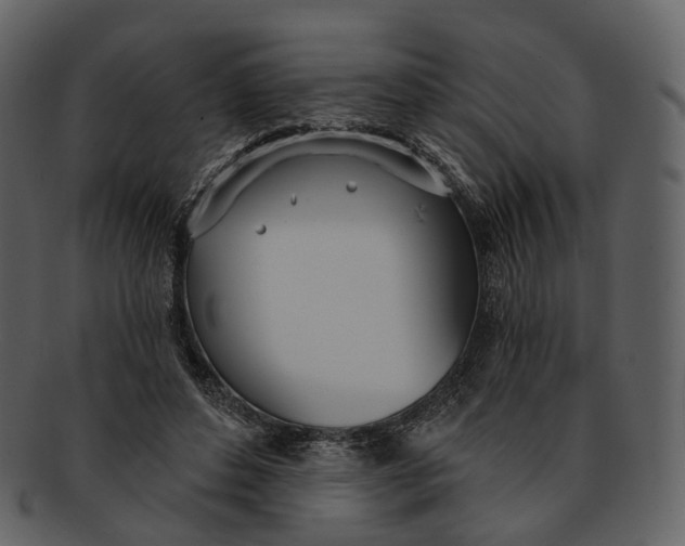 X0000093090496200710171141