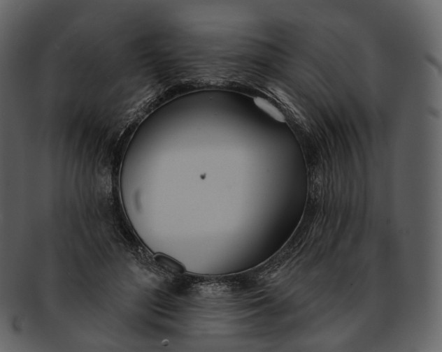 X0000093090500200710171141