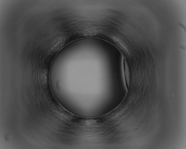 X0000093090501200710171141