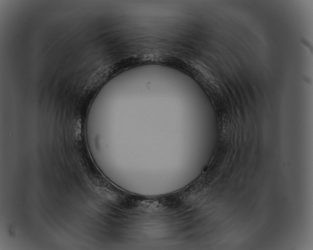 X0000093090502200710171141