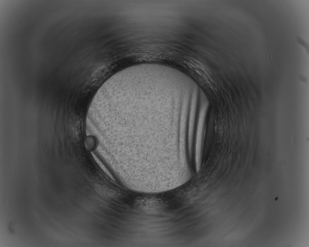 X0000093090503200710171141