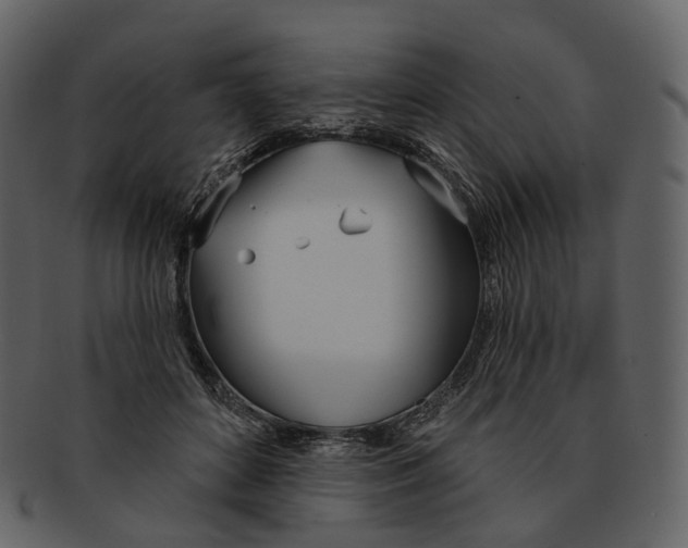 X0000093090504200710171141
