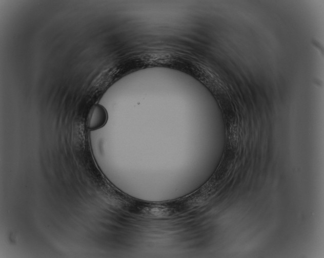 X0000093090506200710171141
