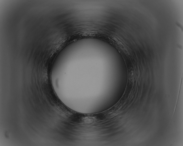 X0000093090508200710171141