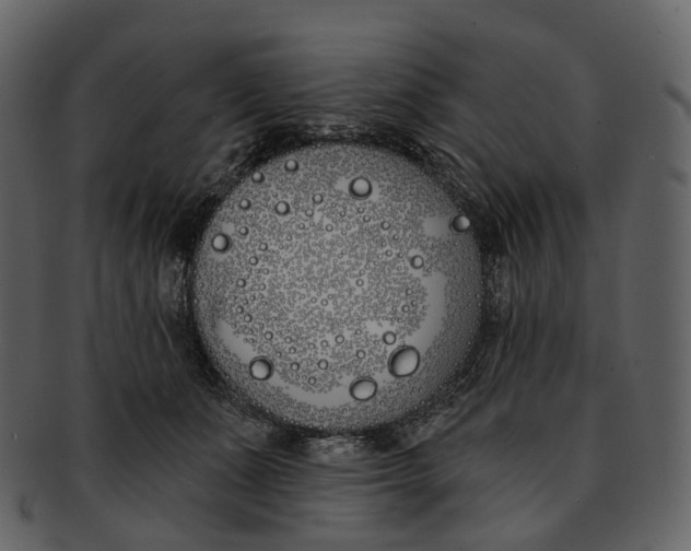 X0000093090511200710171141