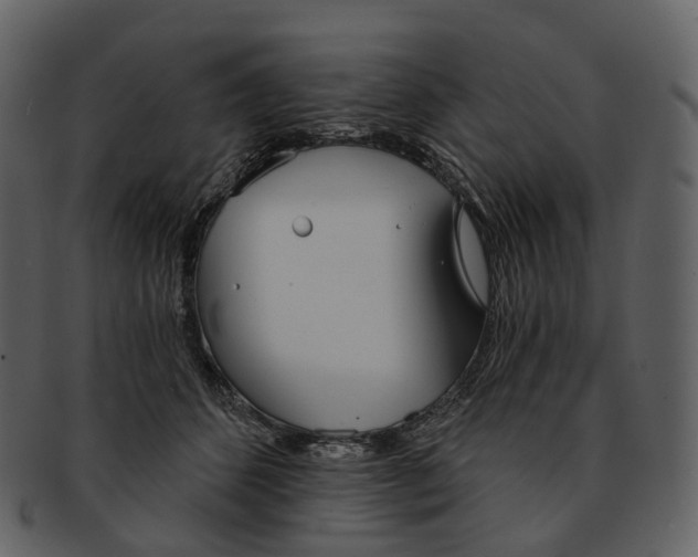 X0000093090512200710171141