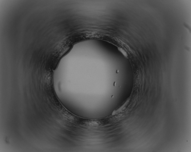 X0000093090513200710171141